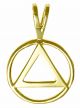 14k 01-1 Gold Pendant